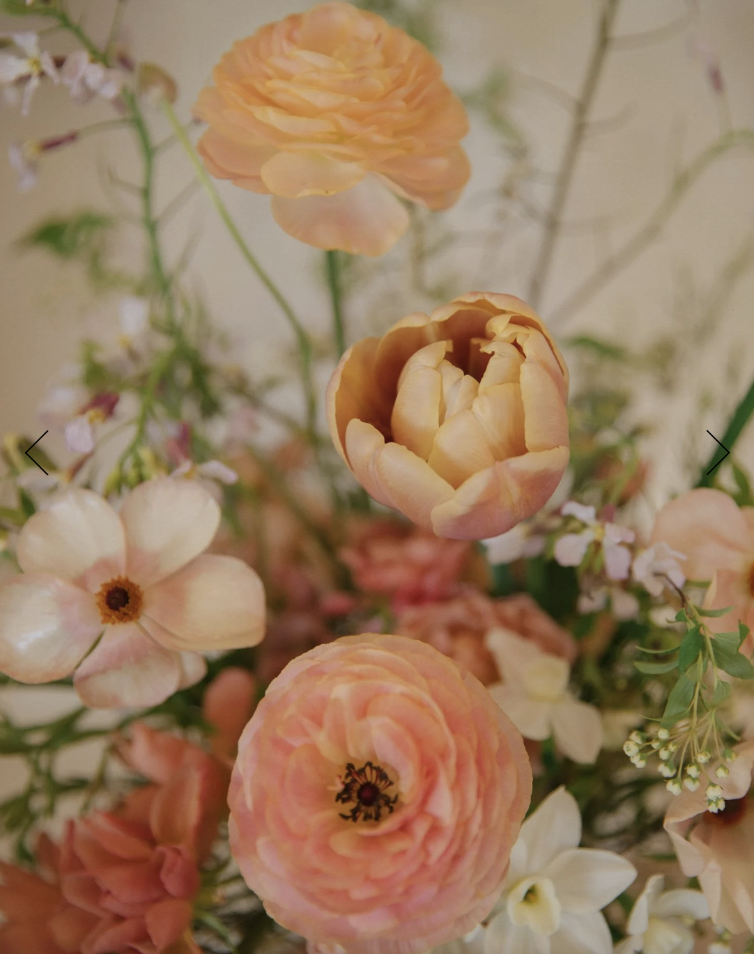 Screen Shot 2026-01-27 at 1.34.04 PM.png