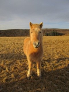 IMG_1030 2 Small.jpeg