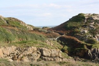 IMG_9970 2 Small.jpeg