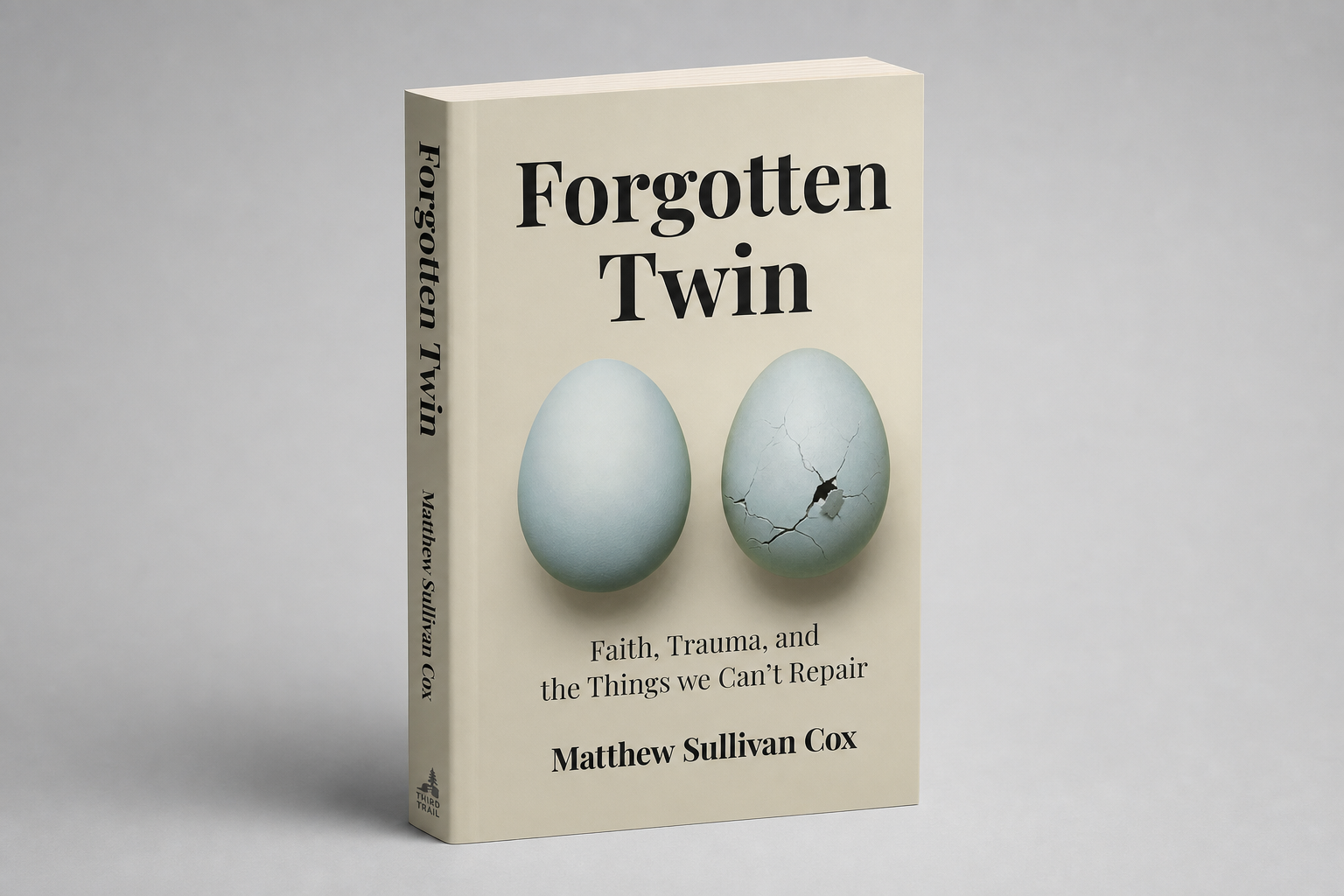 Paperback book Forgotten Twin