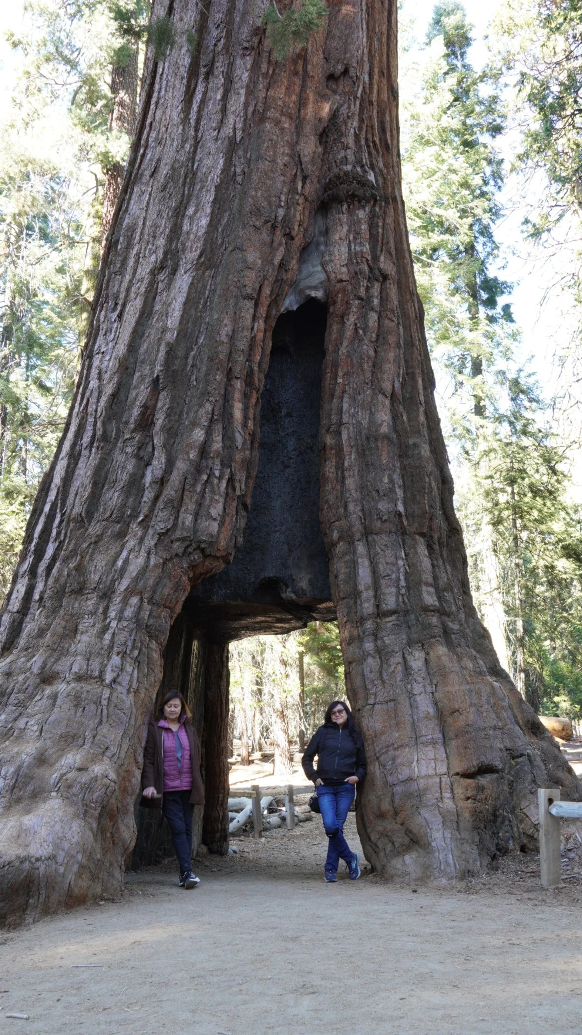 DSC02756 (Large).JPG