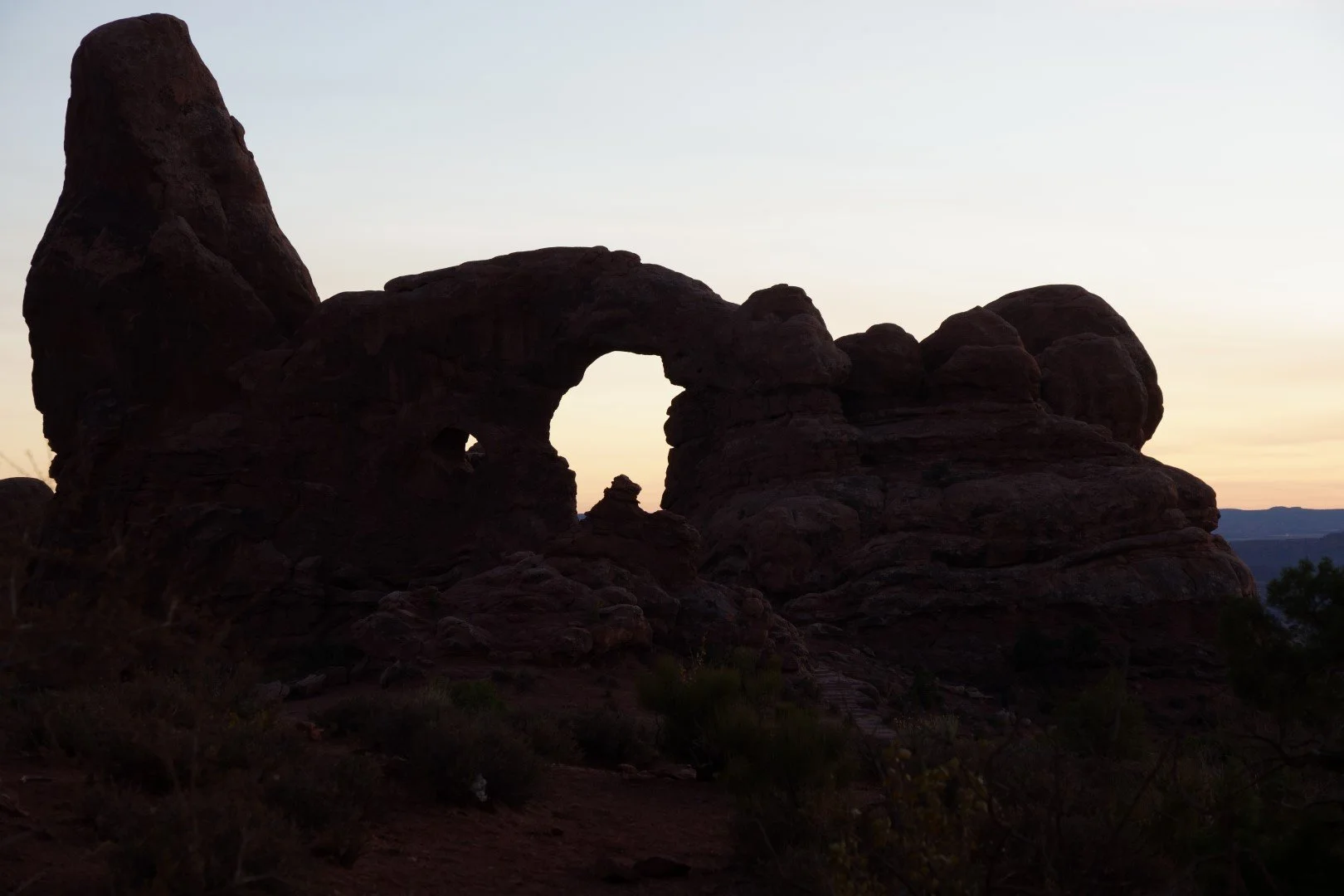 DSC02113 (Large).JPG
