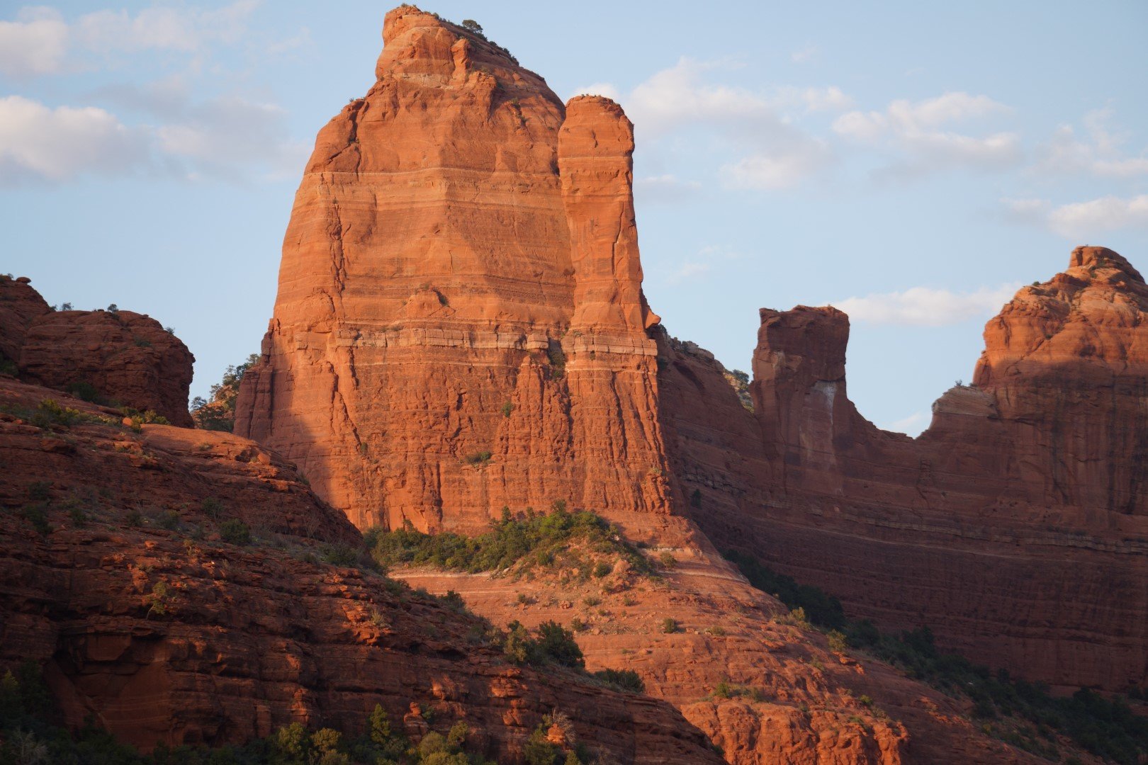 DSC00297 (Large).JPG