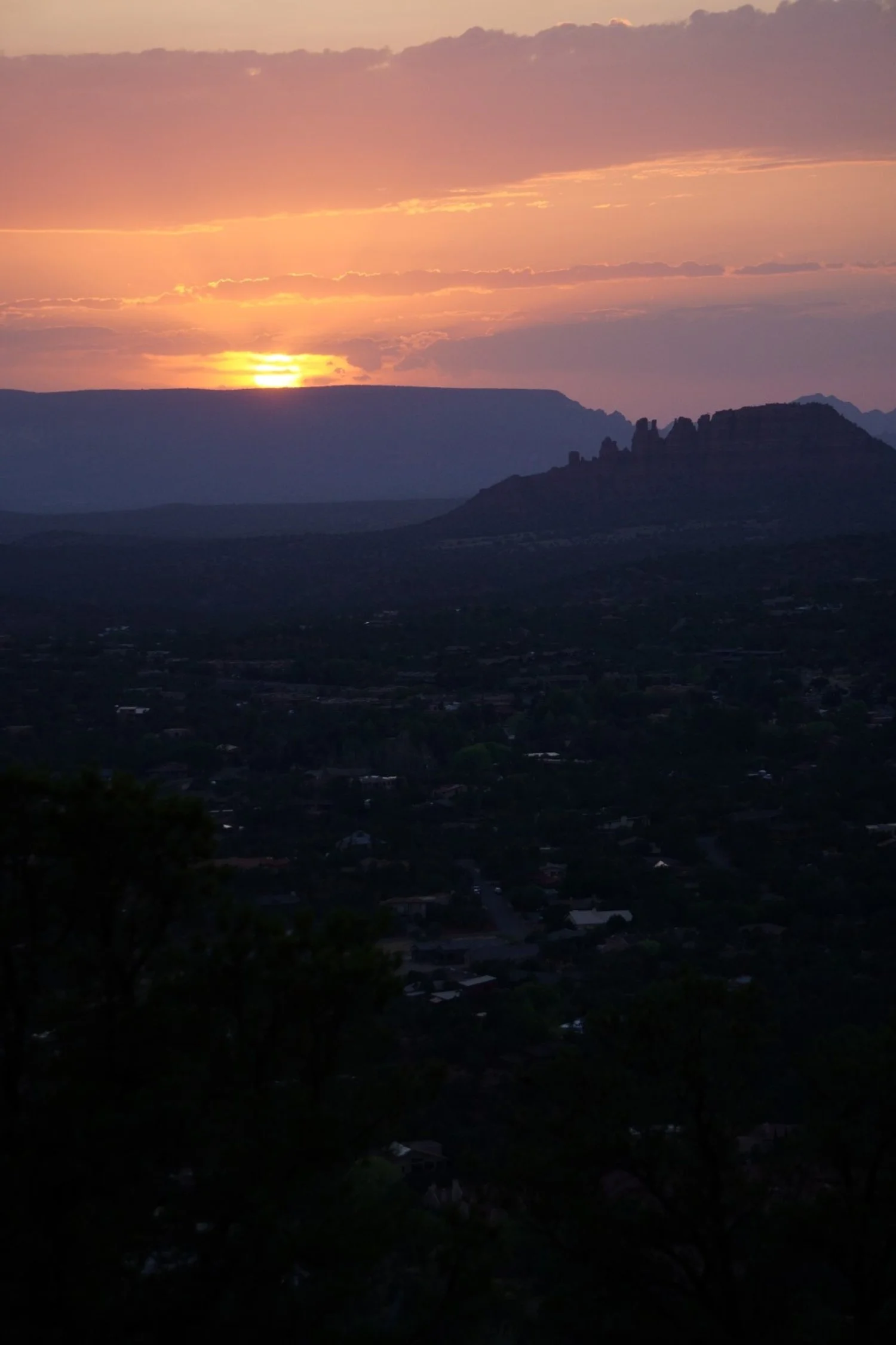 DSC00387 (Large).JPG