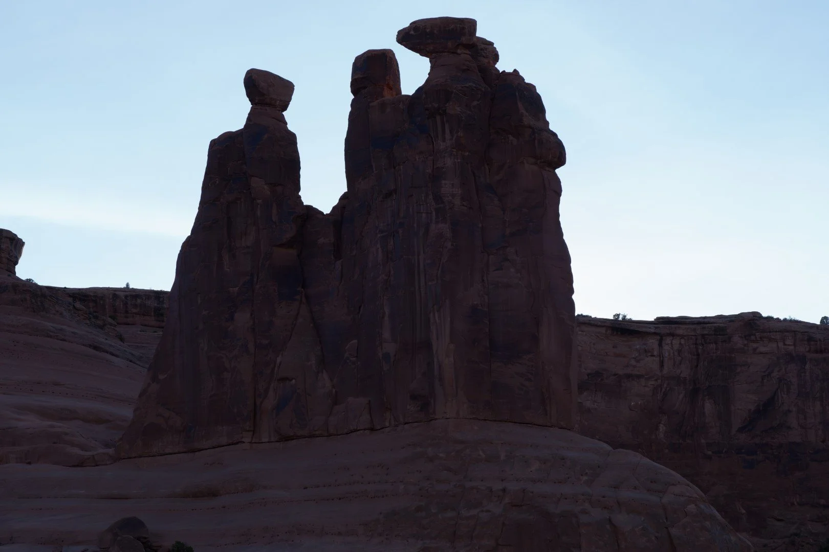 DSC02046 (Large).JPG