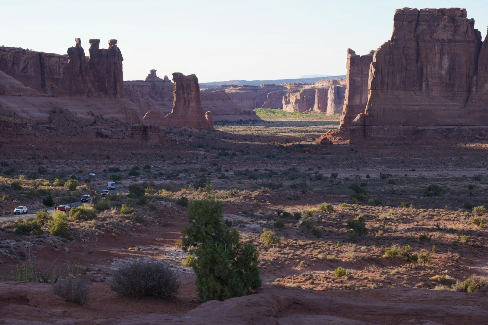 DSC02036 (Large).JPG