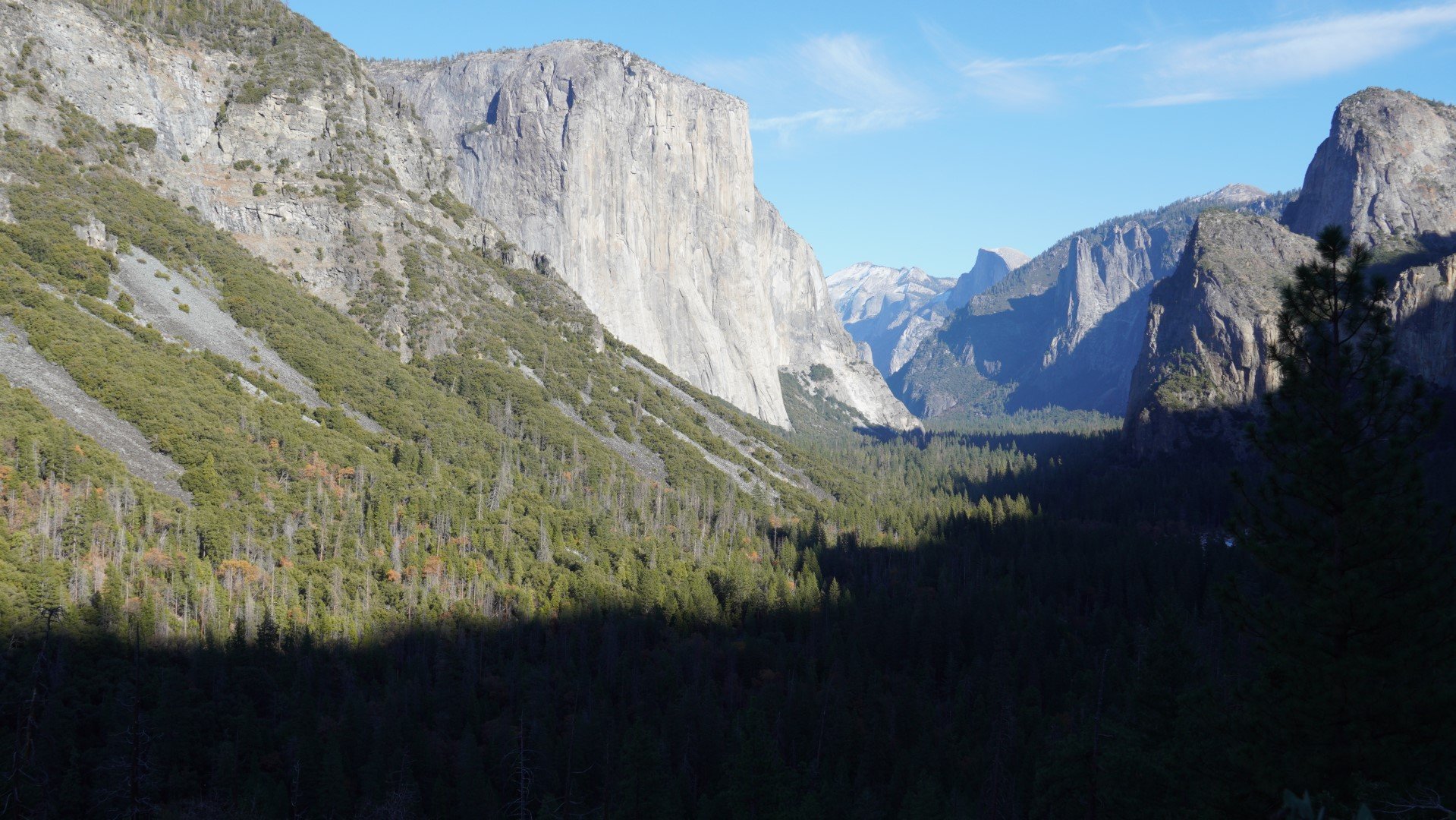 DSC02916 (Large).JPG