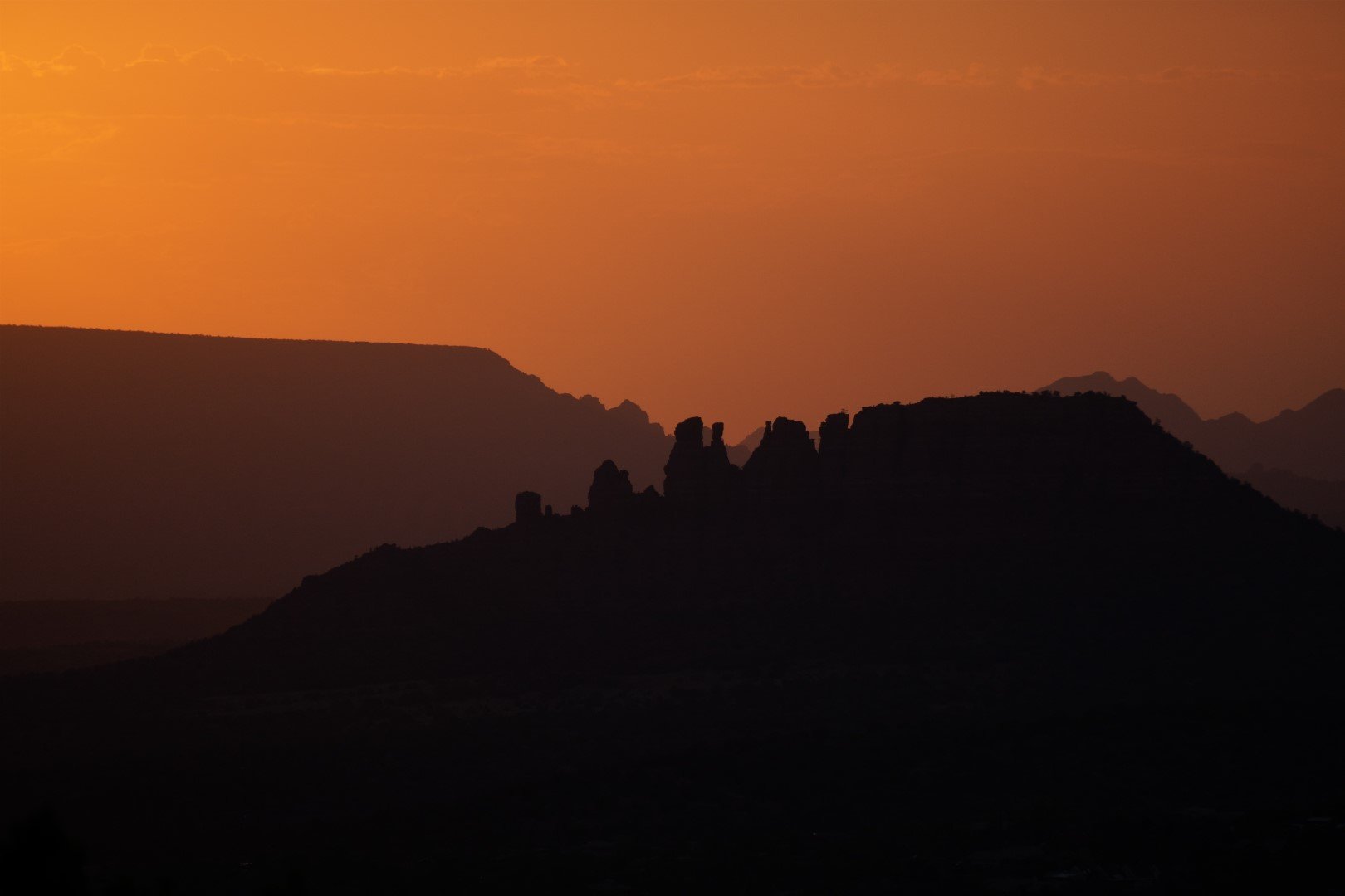 DSC00376 (Large).JPG