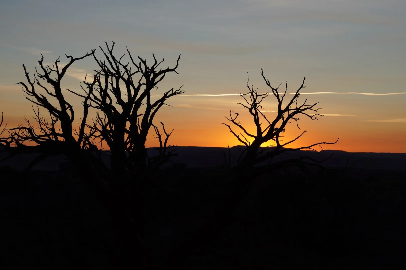 DSC02097 (Large).JPG