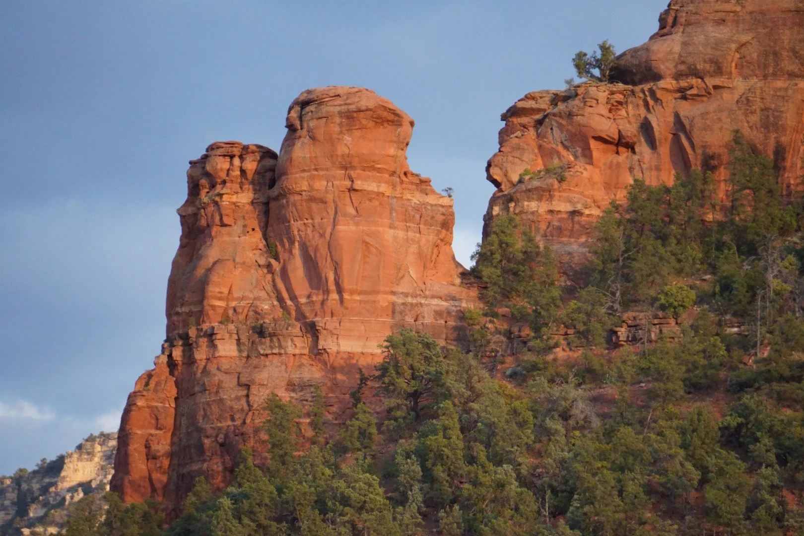 DSC00300 (Large).JPG