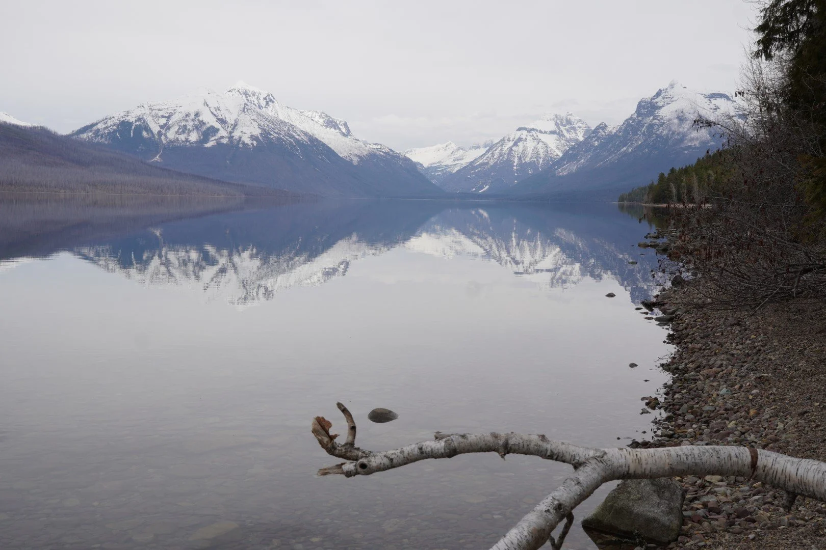 DSC07019 (Large).JPG