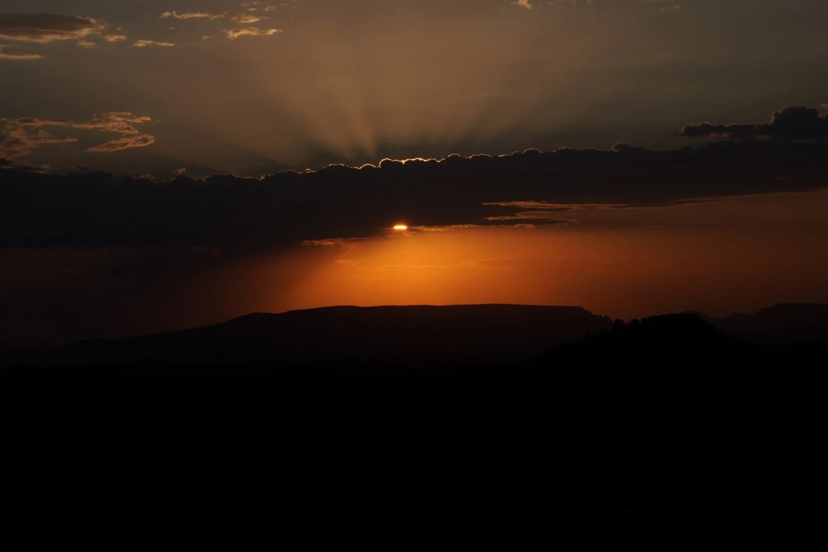 DSC00374 (Large).JPG