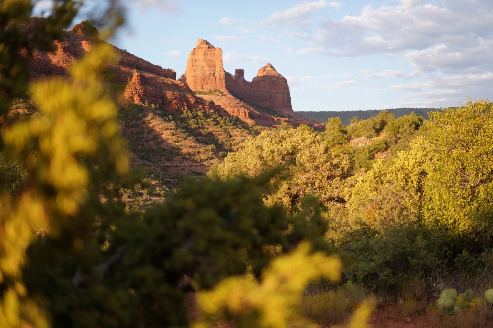 DSC00287 (Large).JPG