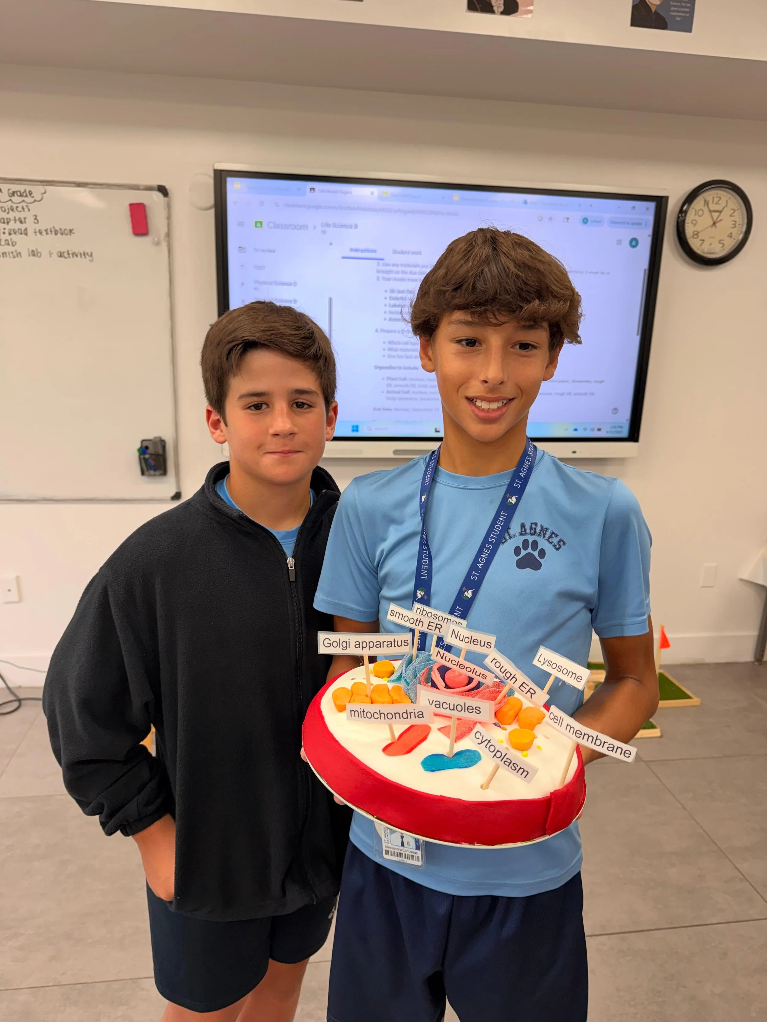 WhatsApp Image 2025-09-22 at 2.54.02 PM.jpeg