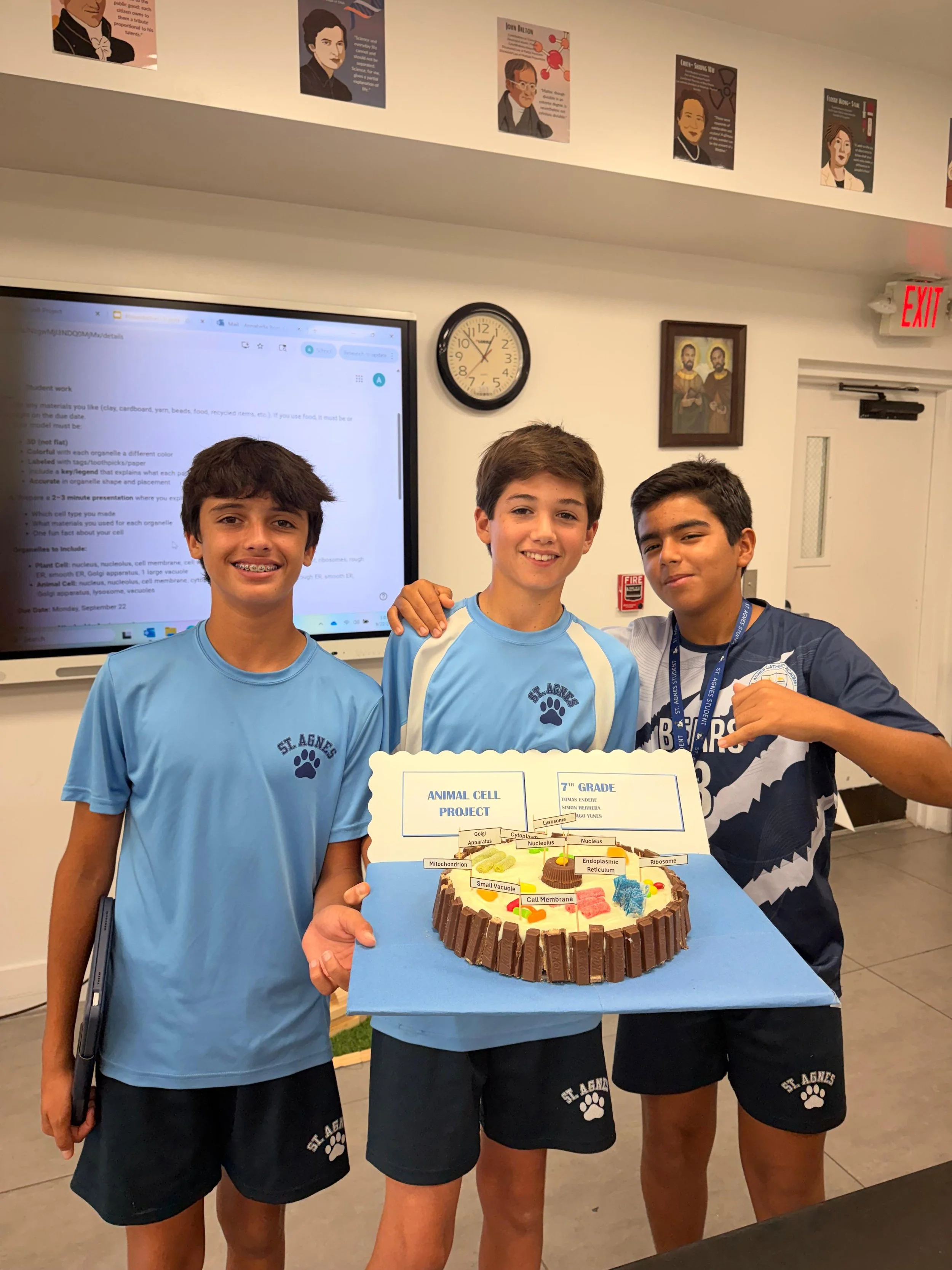 WhatsApp Image 2025-09-22 at 2.54.01 PM (14).jpeg