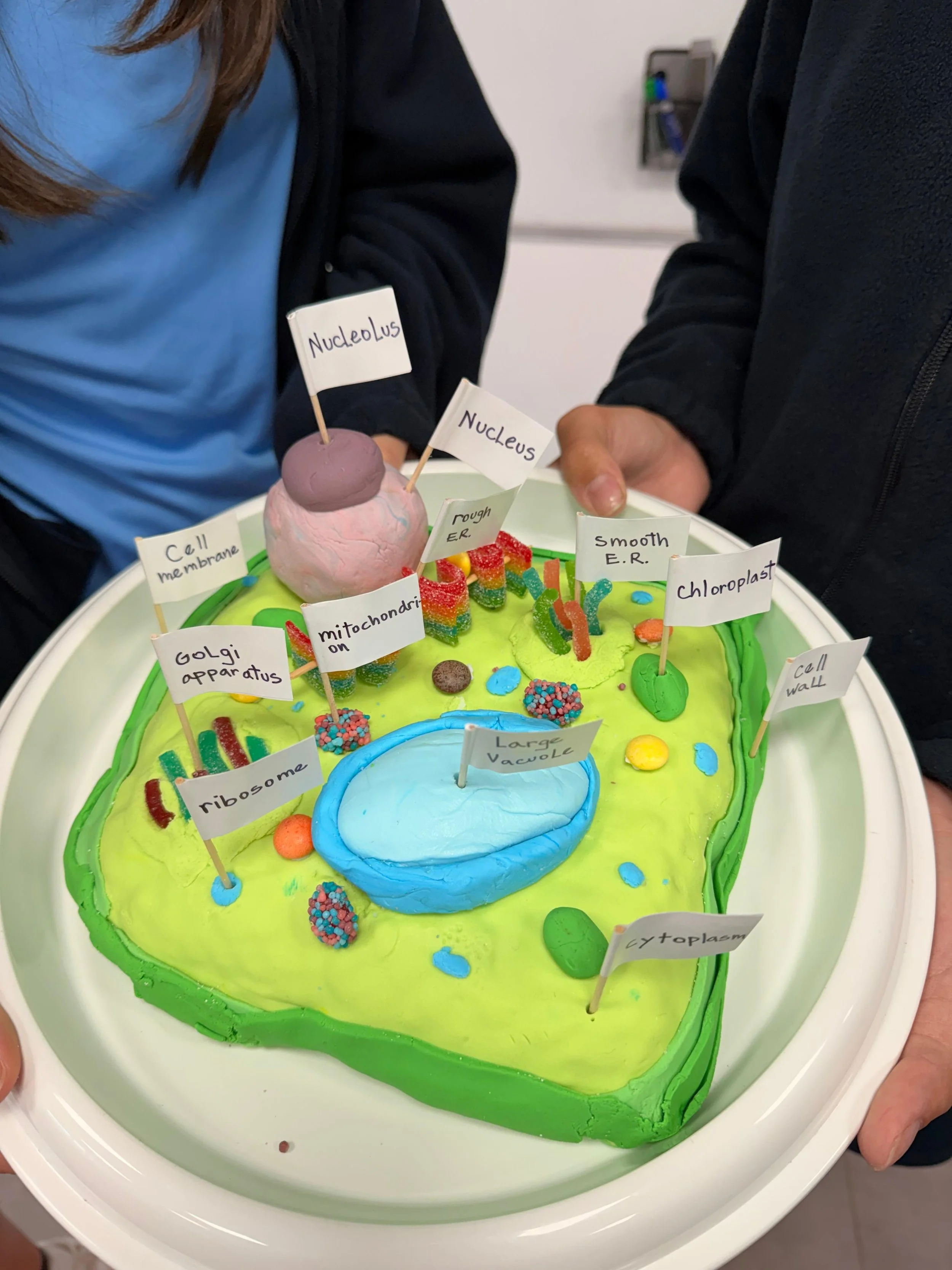 WhatsApp Image 2025-09-22 at 2.54.01 PM (3).jpeg