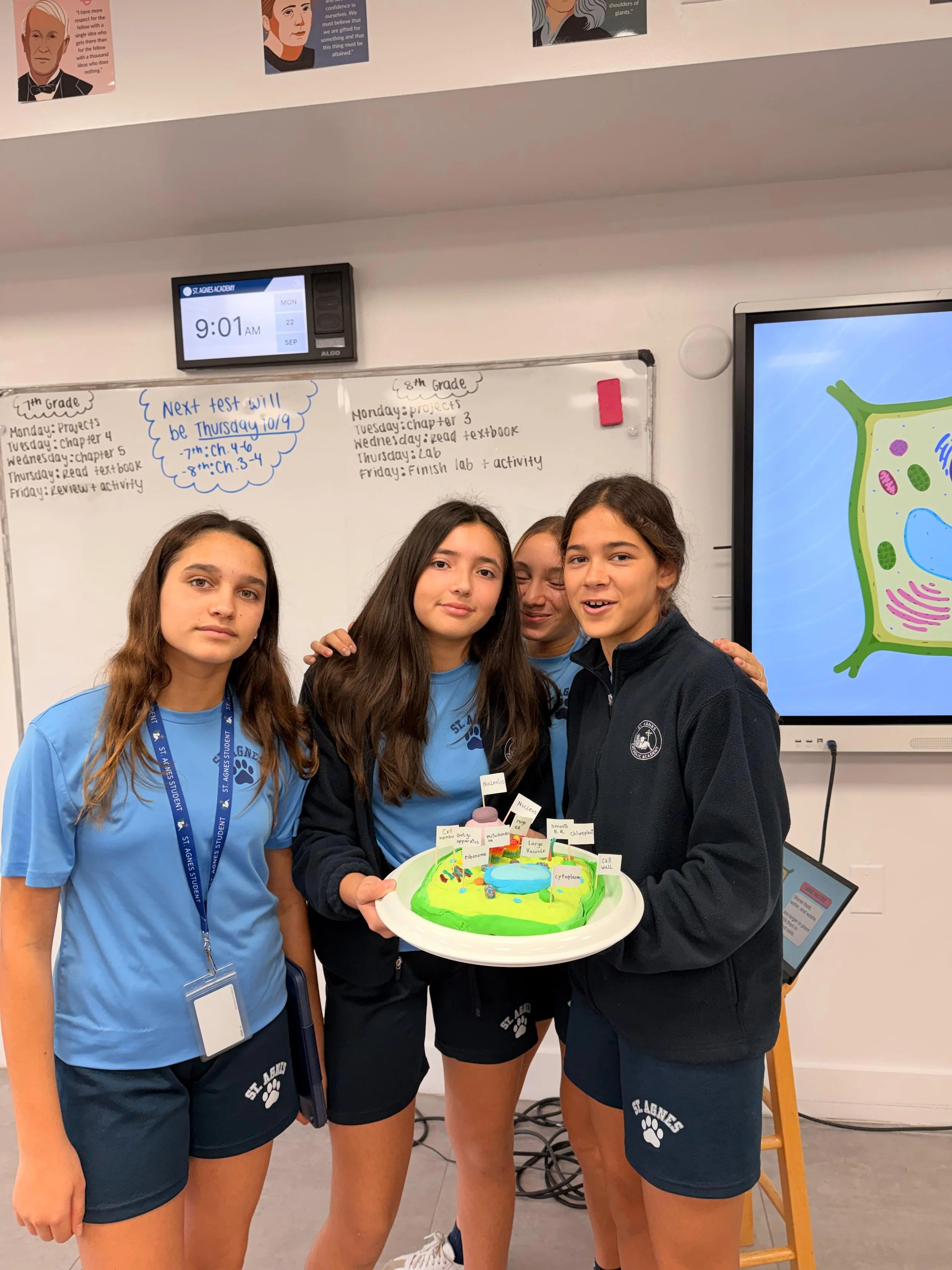 WhatsApp Image 2025-09-22 at 2.54.01 PM (1).jpeg