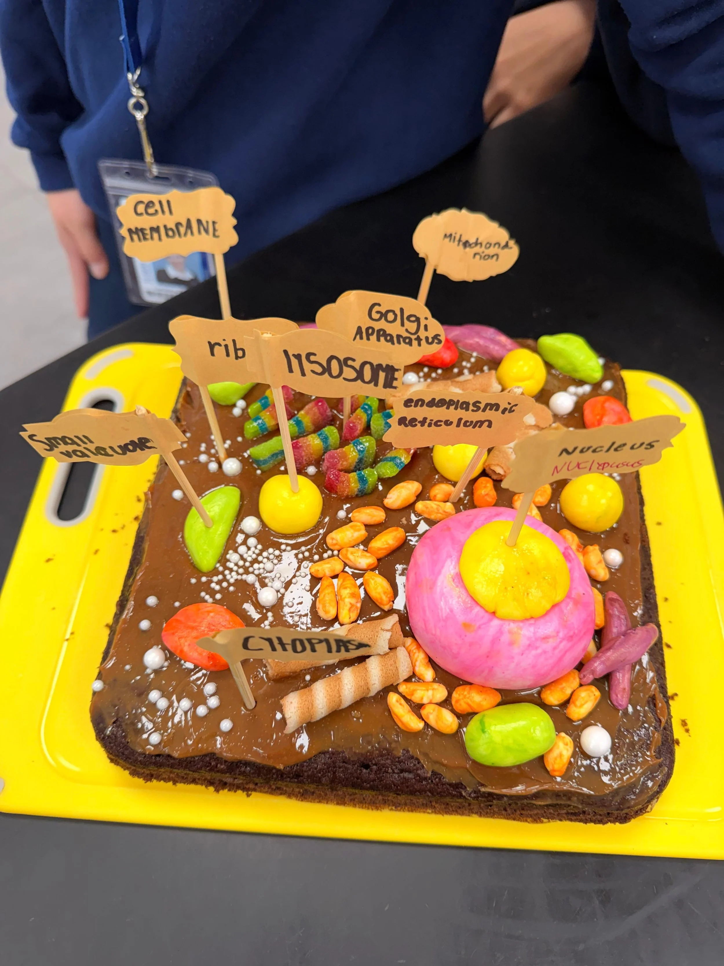 WhatsApp Image 2025-09-22 at 2.54.01 PM (9).jpeg