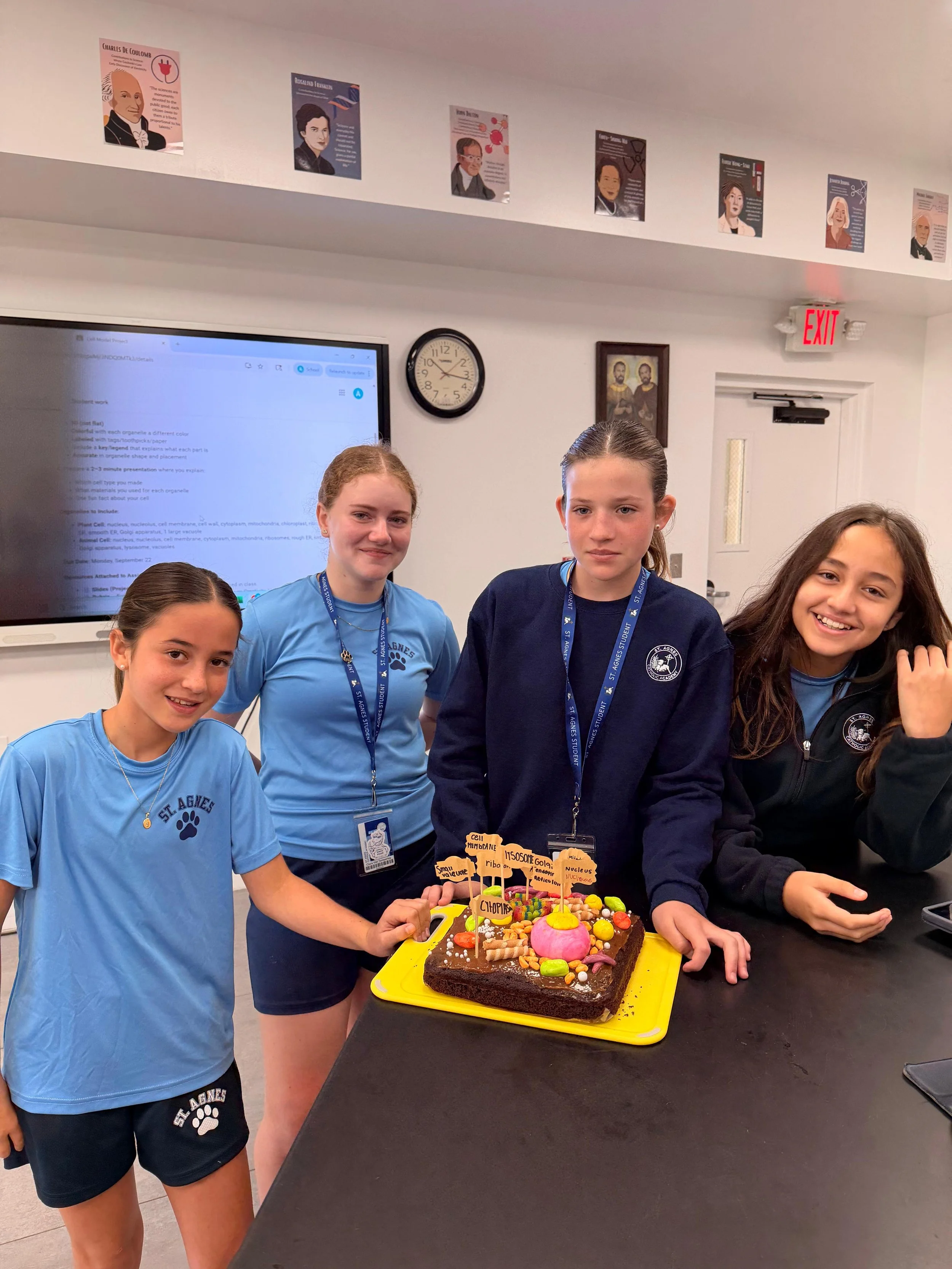 WhatsApp Image 2025-09-22 at 2.54.01 PM (10).jpeg