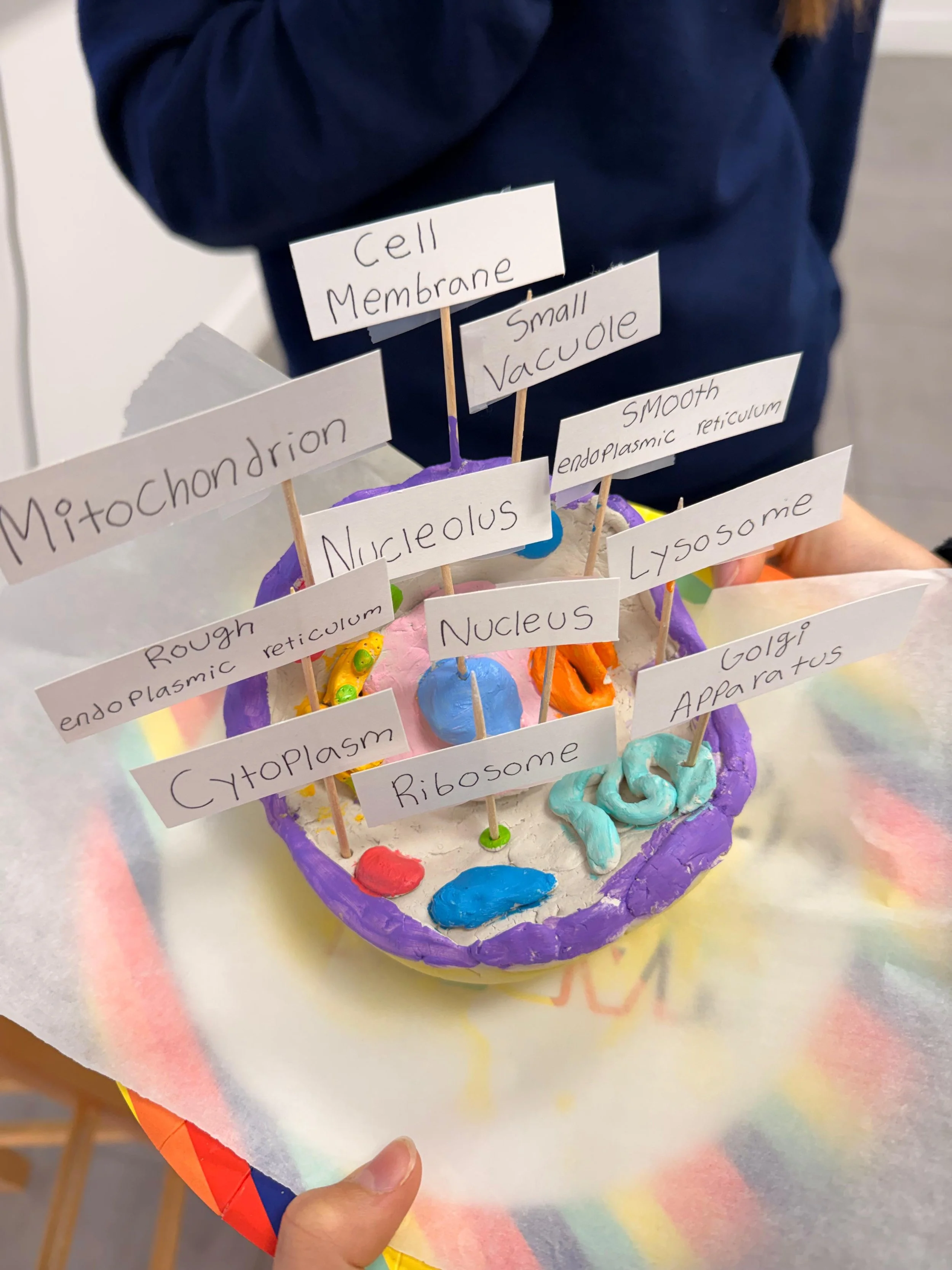 WhatsApp Image 2025-09-22 at 2.54.01 PM (7).jpeg