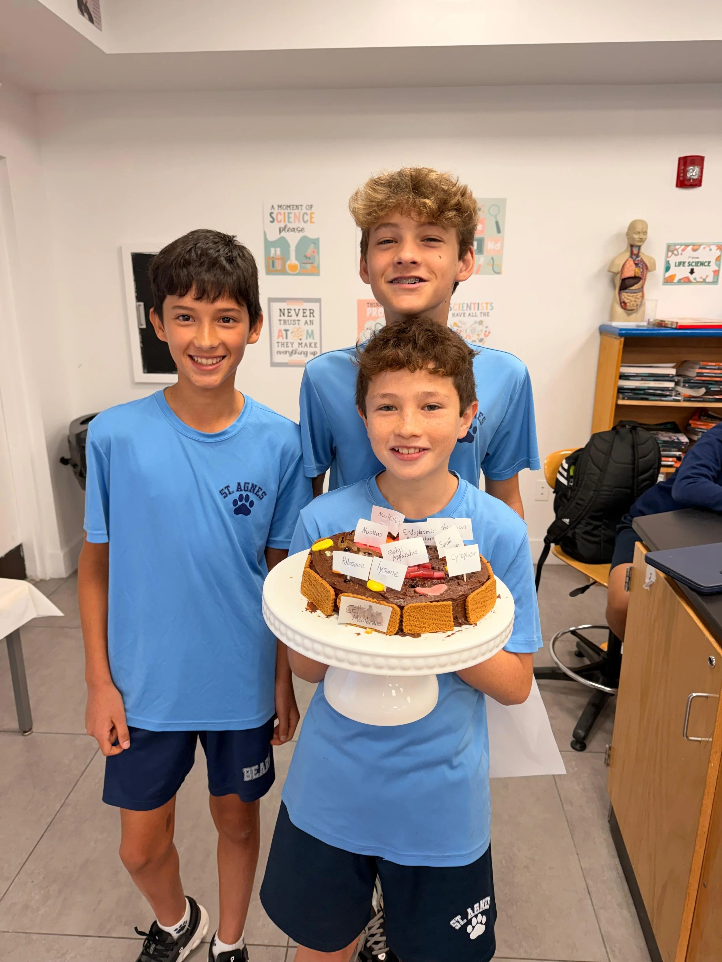 WhatsApp Image 2025-09-22 at 2.54.01 PM (6).jpeg