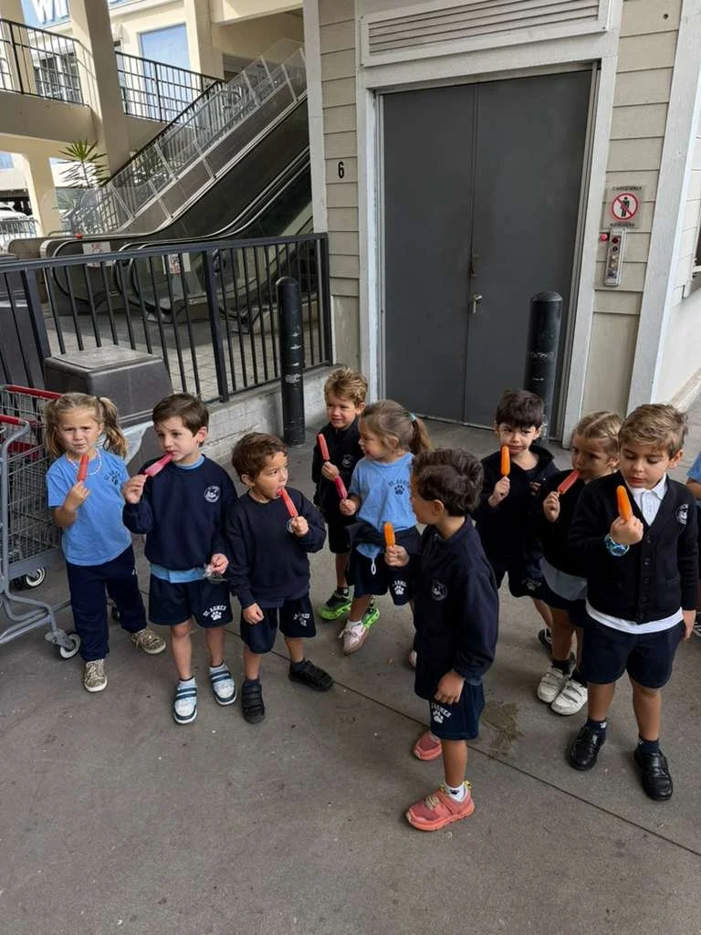 WhatsApp Image 2025-11-17 at 1.36.31 PM (2).jpeg