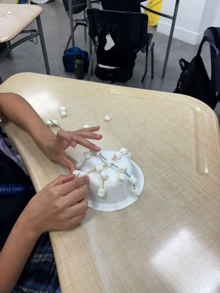 WhatsApp Image 2025-12-03 at 1.46.22 PM.jpeg