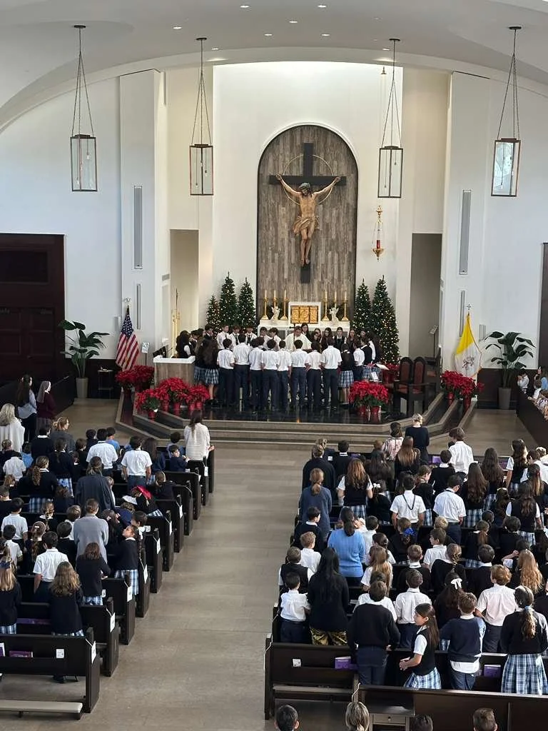 WhatsApp Image 2026-01-12 at 12.23.34 PM.jpeg