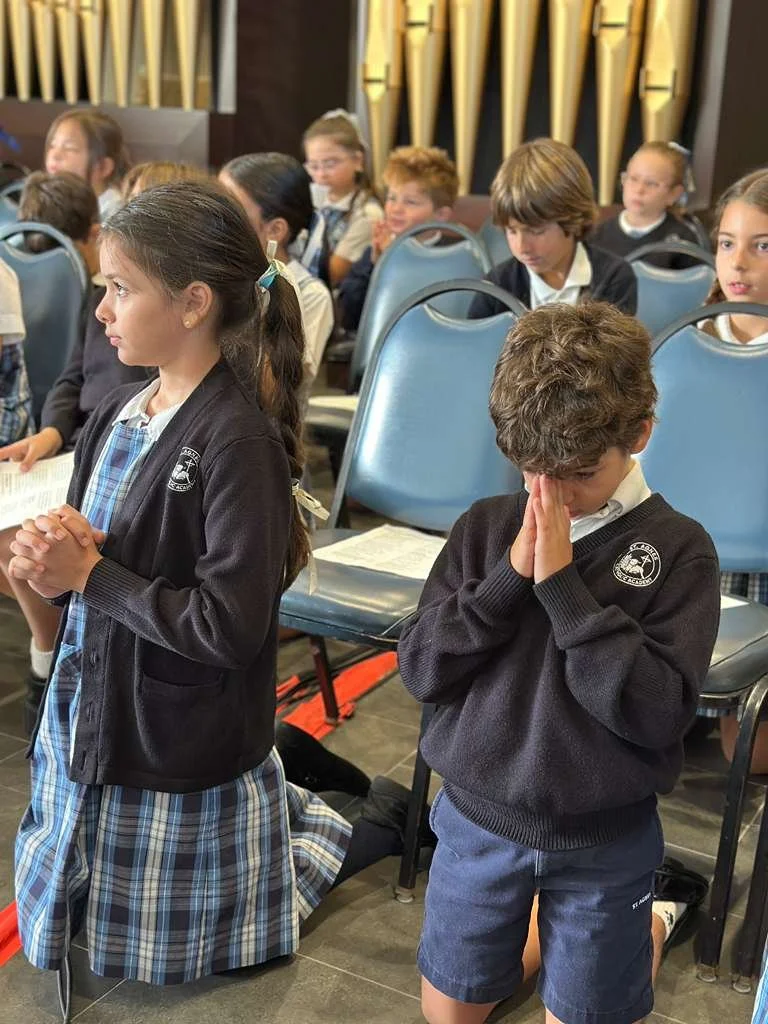 WhatsApp Image 2026-01-12 at 12.23.31 PM.jpeg