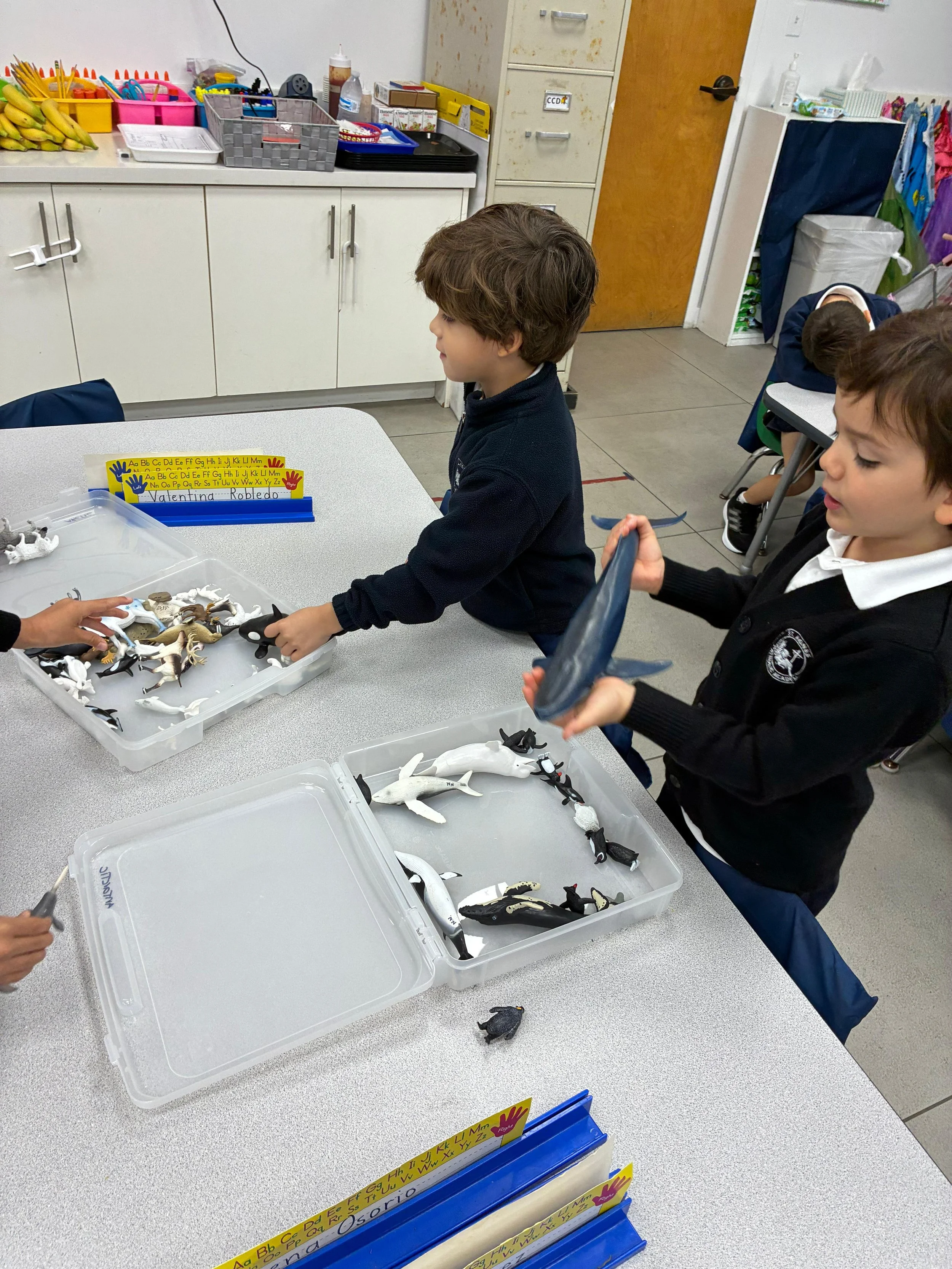 WhatsApp Image 2026-01-12 at 2.58.44 PM (1).jpeg