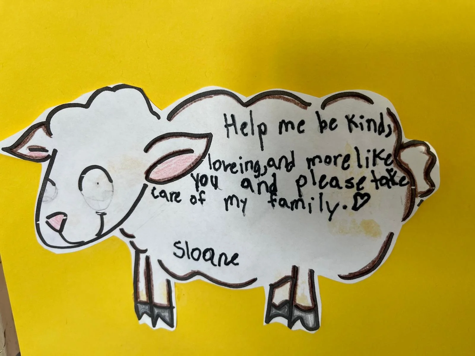 WhatsApp Image 2026-02-04 at 12.36.35 PM (1).jpeg