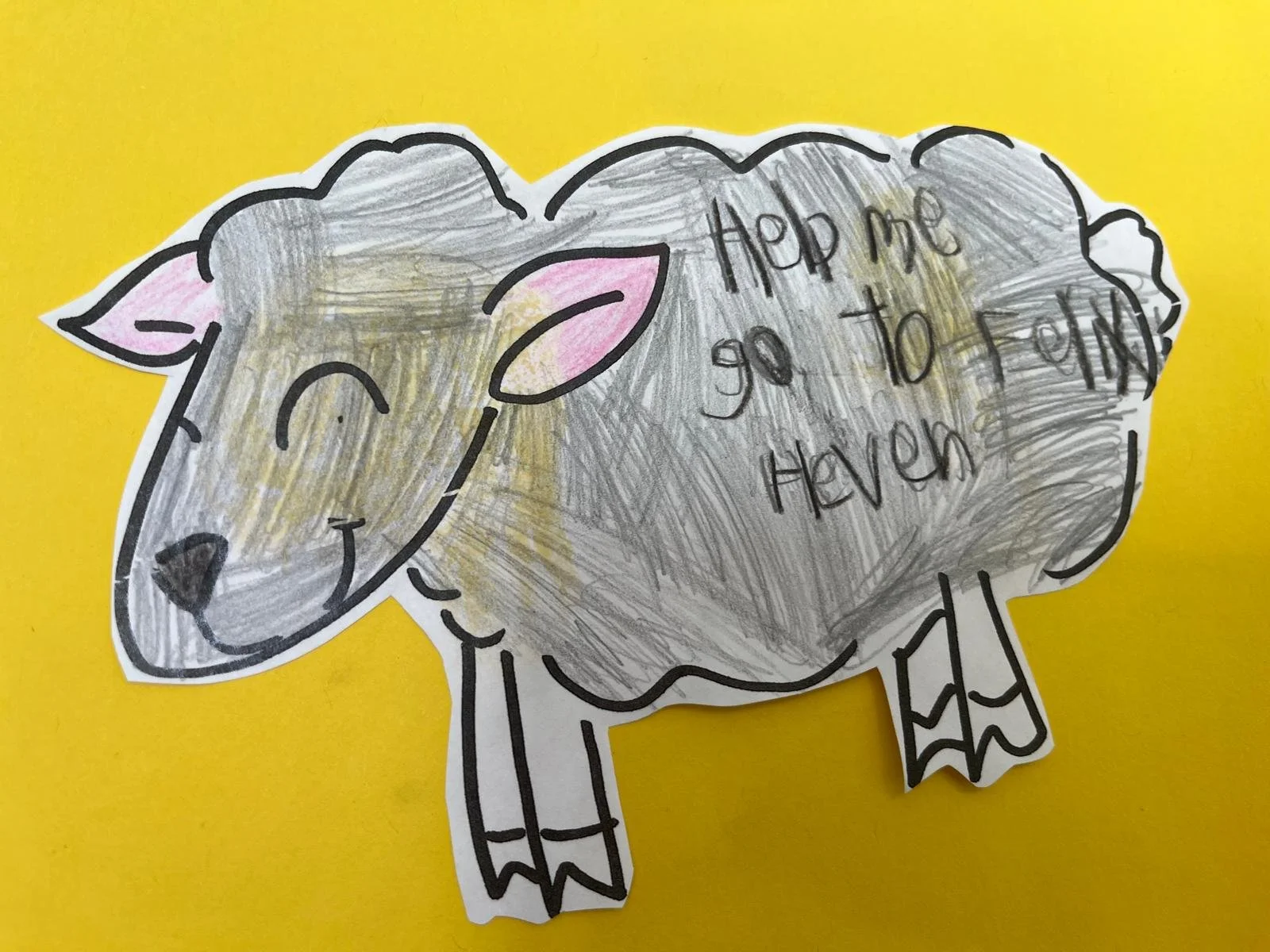 WhatsApp Image 2026-02-04 at 12.36.35 PM (4).jpeg