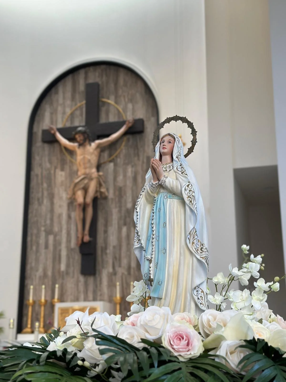 WhatsApp Image 2026-02-17 at 9.36.14 AM.jpeg