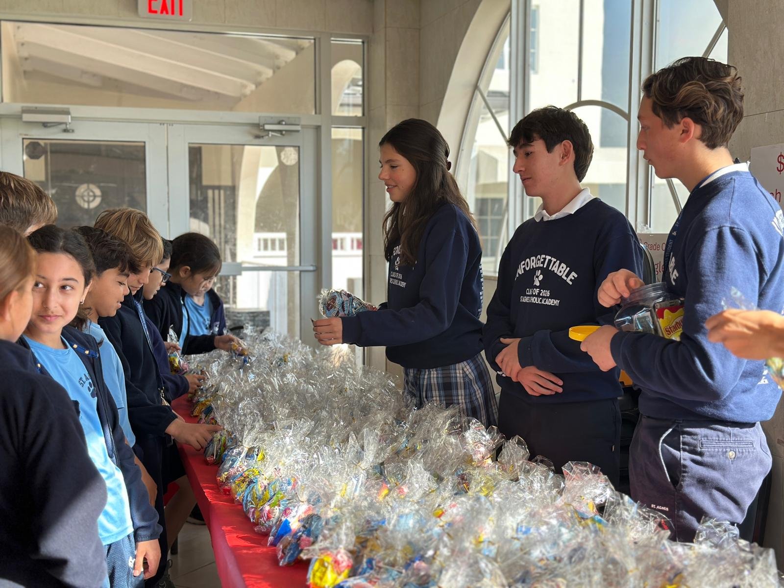 WhatsApp Image 2026-02-17 at 9.36.14 AM (9).jpeg