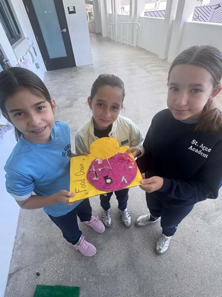 WhatsApp Image 2026-02-26 at 10.25.12 AM (7).jpeg