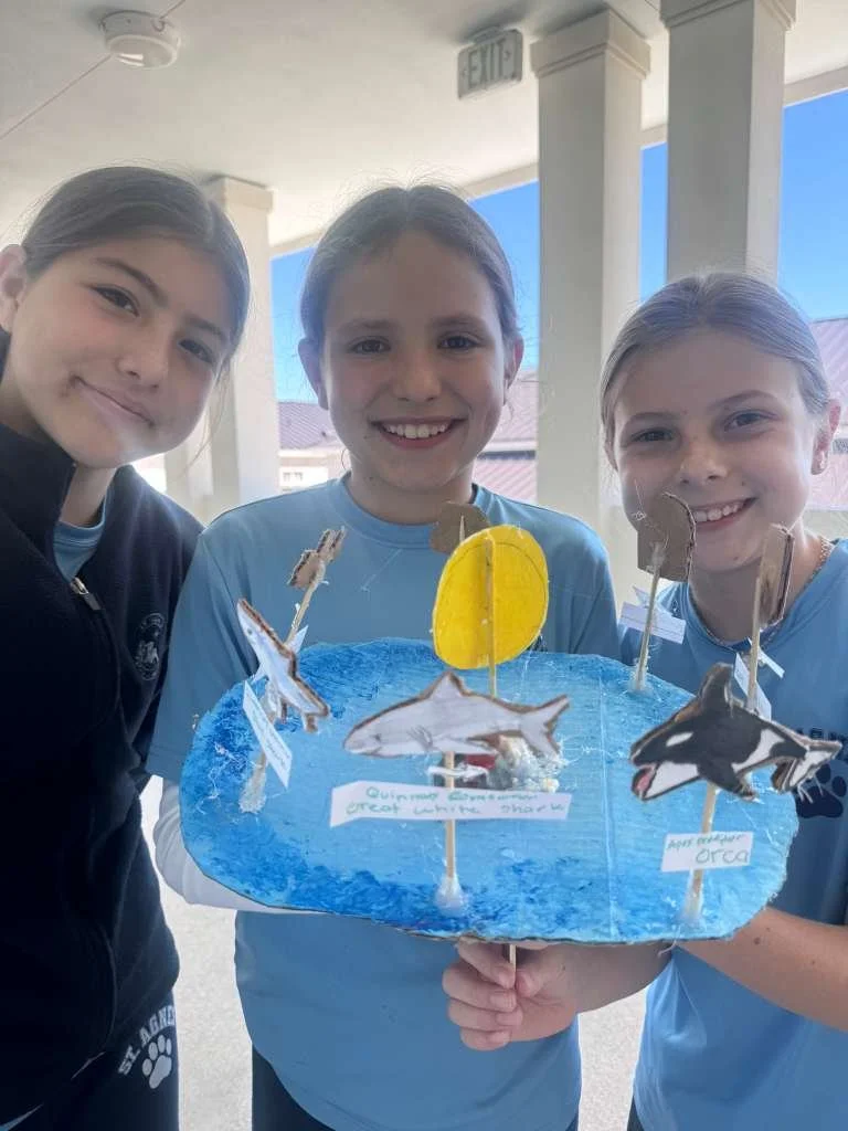 WhatsApp Image 2026-02-26 at 10.25.12 AM (5).jpeg