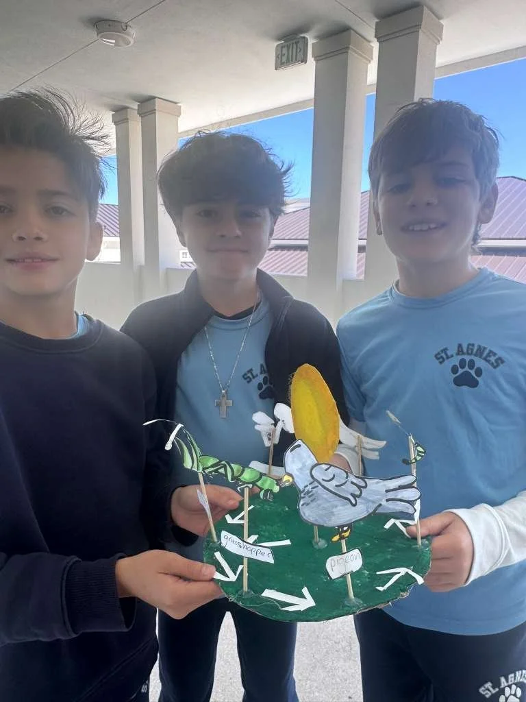 WhatsApp Image 2026-02-26 at 10.25.11 AM (2).jpeg