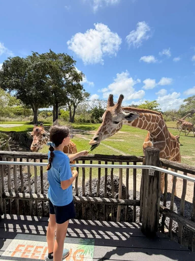 3rd & 4th Grade Field Trip to the Zoo 🦒 — St. Agnes Catholic Academy