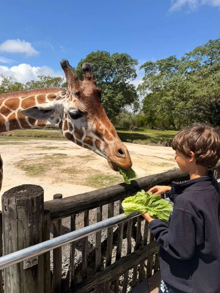 WhatsApp Image 2026-04-07 at 1.52.32 PM (1).jpeg