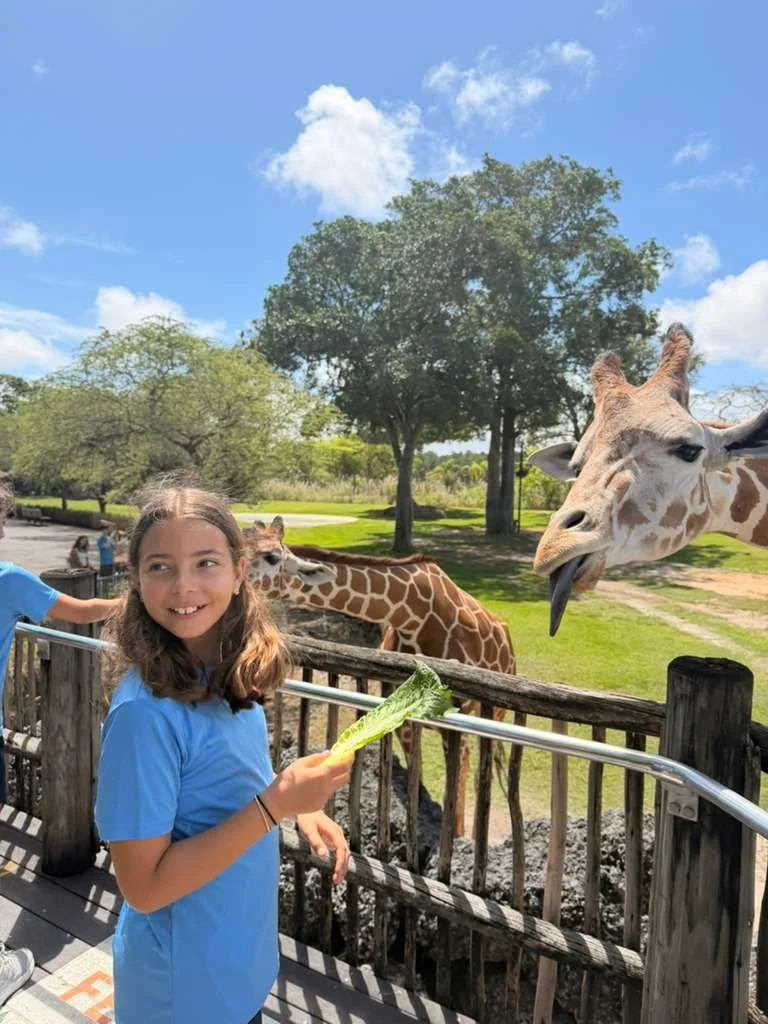 WhatsApp Image 2026-04-07 at 1.52.32 PM (2).jpeg