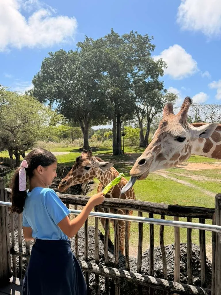 WhatsApp Image 2026-04-07 at 1.52.32 PM.jpeg