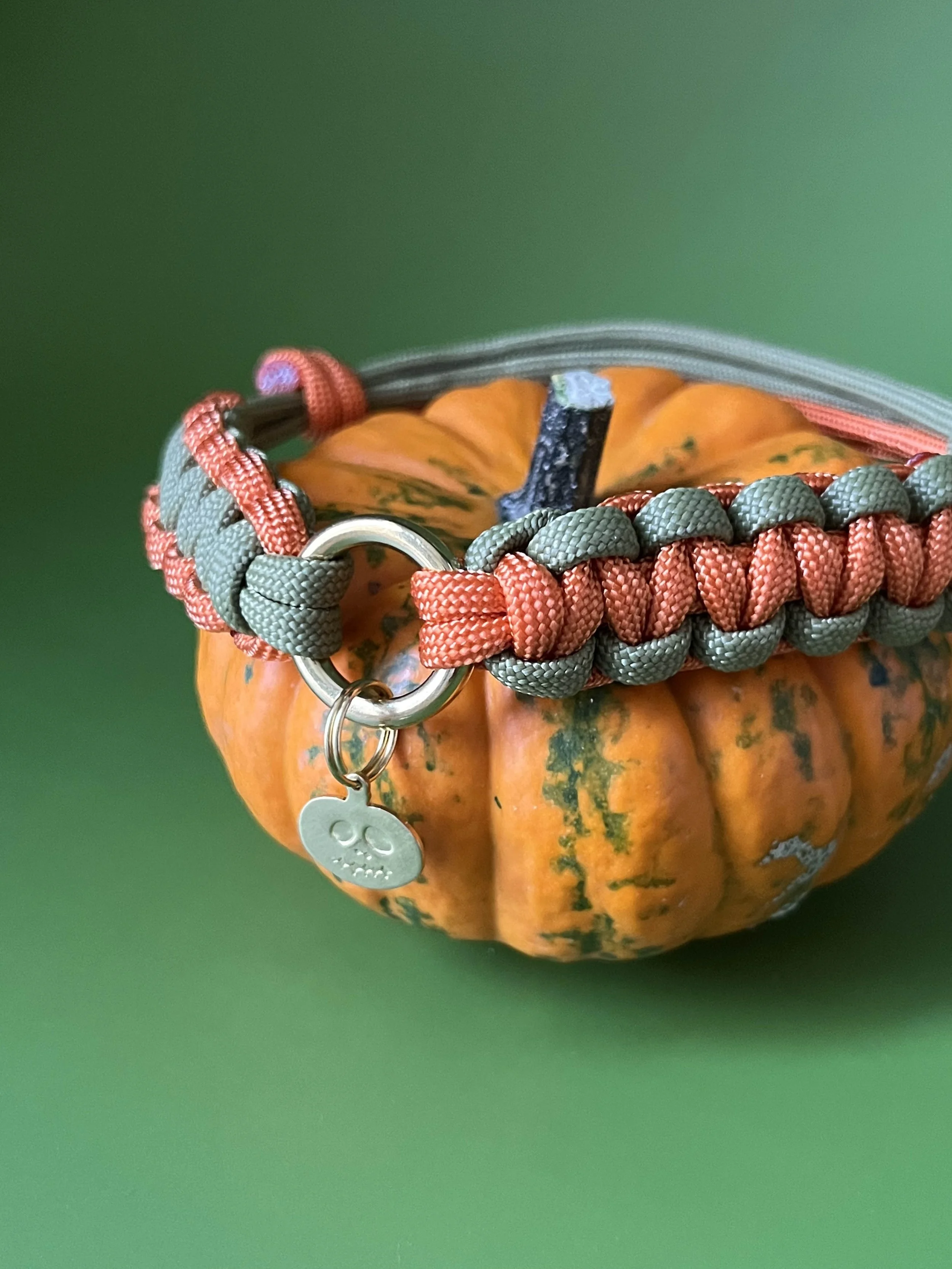 pumpkin_patch_kiki_collar4.jpg
