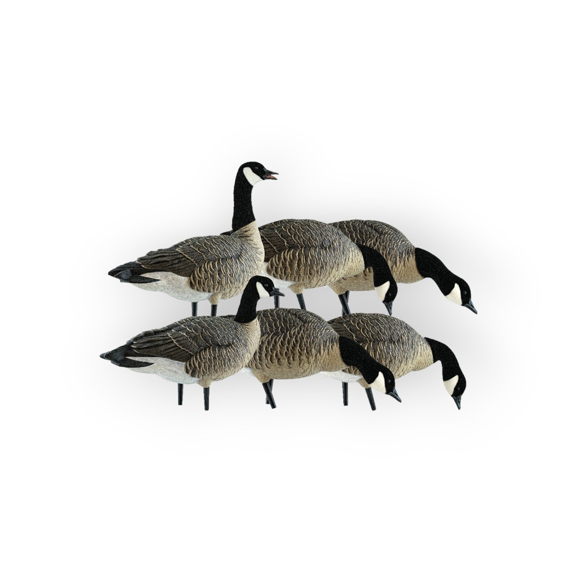 Avian-X - AXP Lessers: Fusion Pack