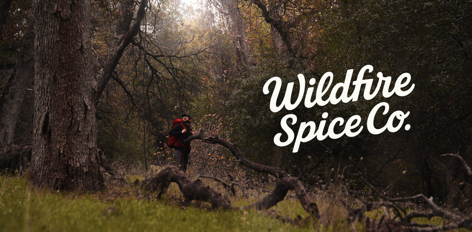 A hiker with a red backpack stands in a forest with fallen branches and trees, looking up at the trees with the text "Wildfire Spice Co." overlaid.