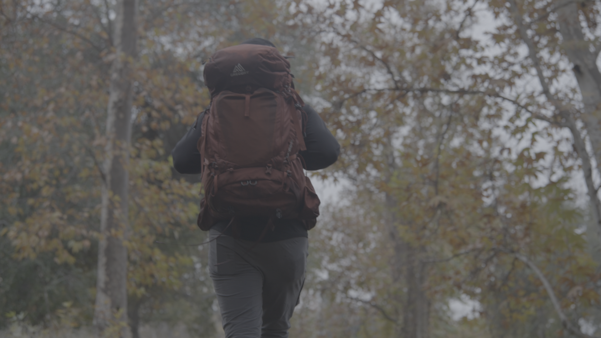 A person hiking outdoors in a forest with fall foliage, wearing a large brown backpack and gray pants.