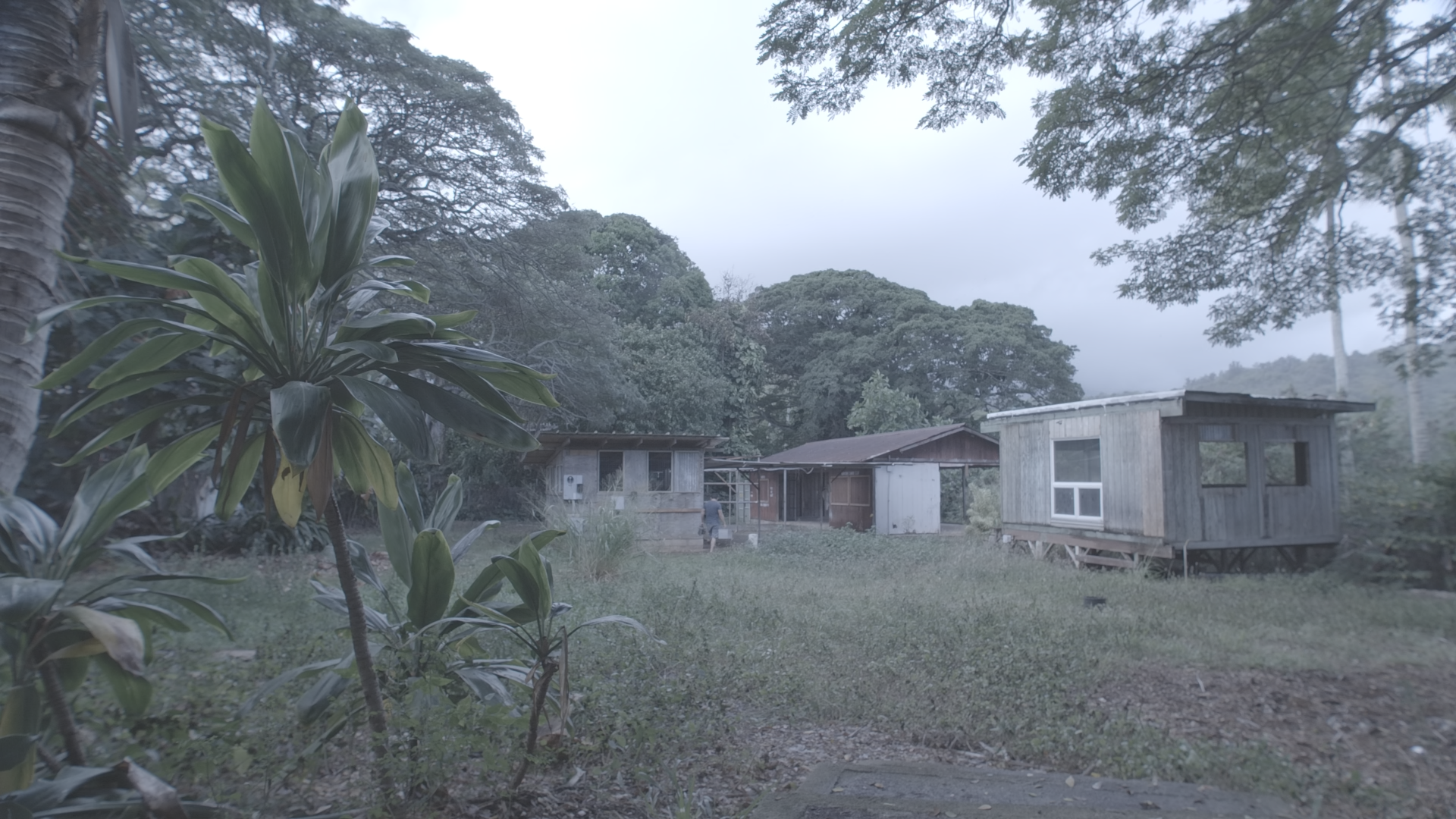 Three small rustic wooden houses on a grassy field surrounded by trees with a cloudy sky in the background.