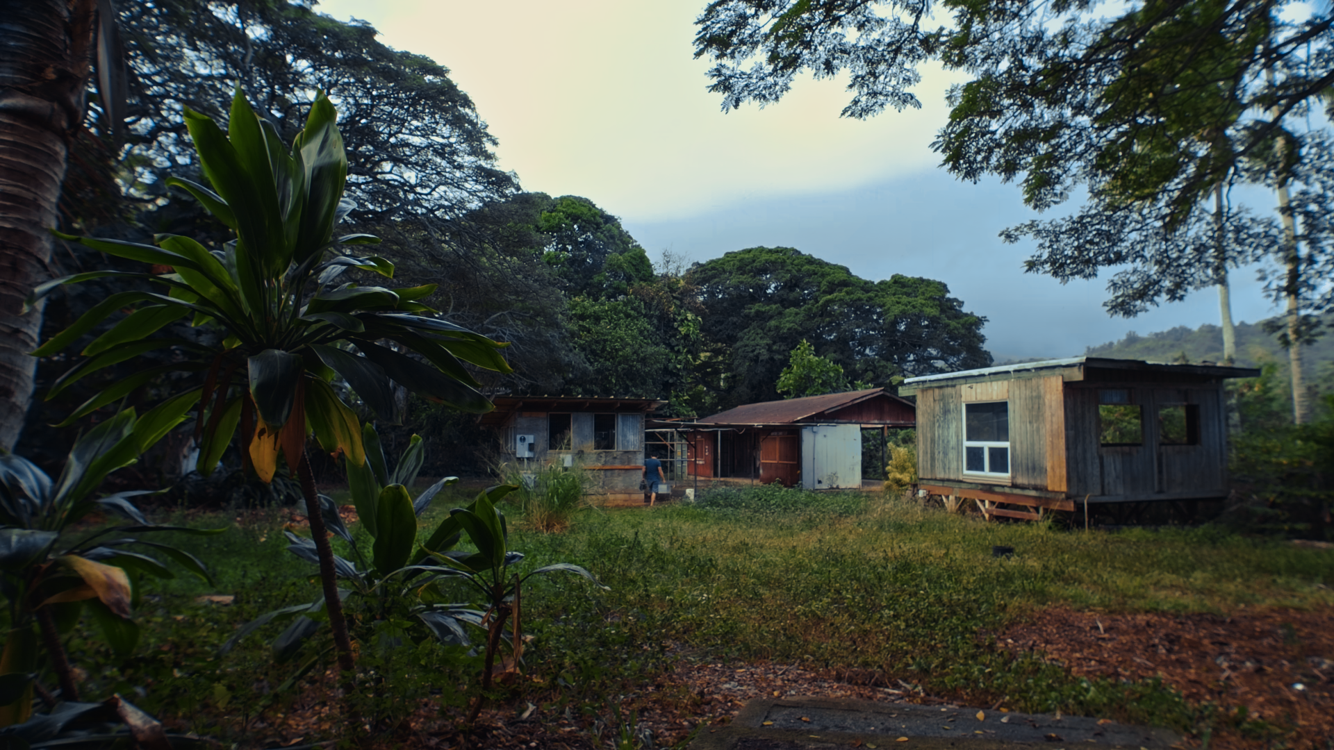 A rustic yard with three small houses surrounded by trees and greenery.