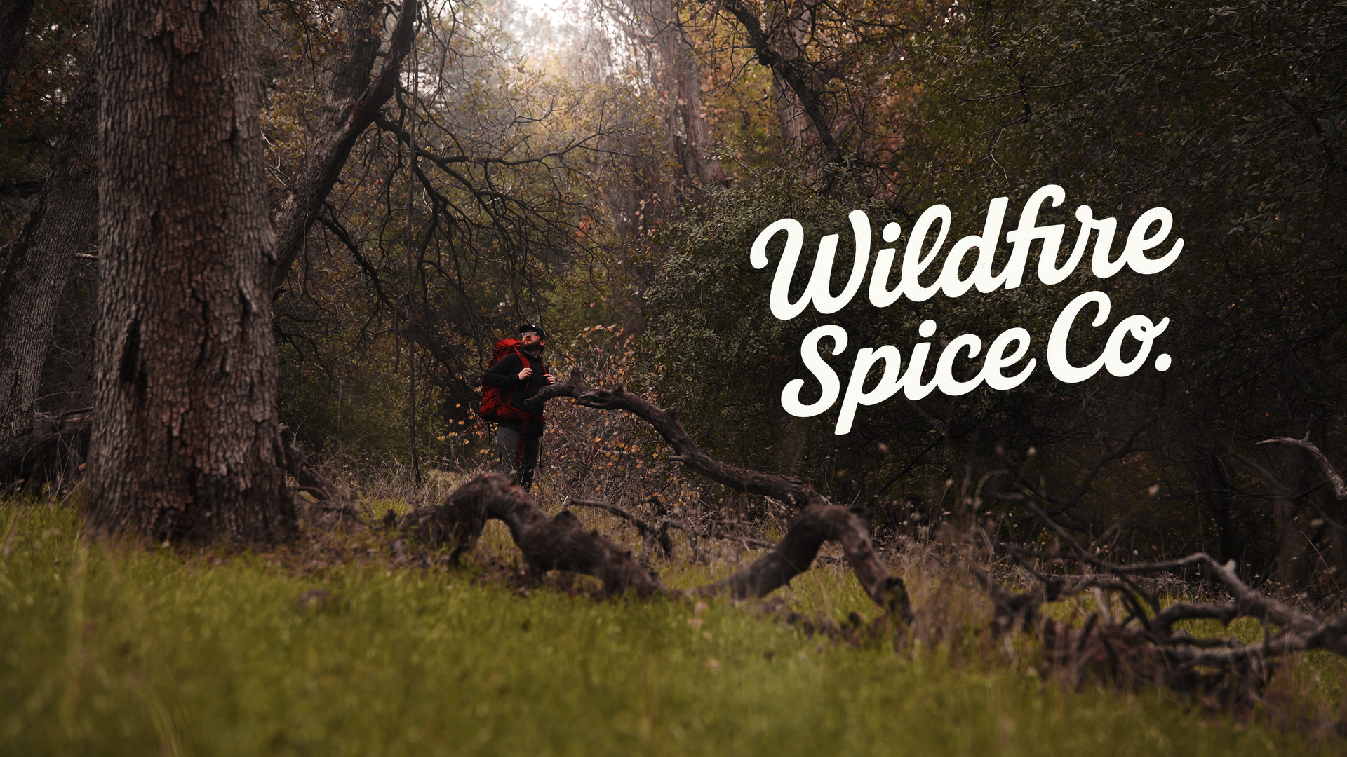 A person with a red backpack hiking in a forested area with fallen branches and trees, and the text 'Wildfire Spice Co.' overlaid.