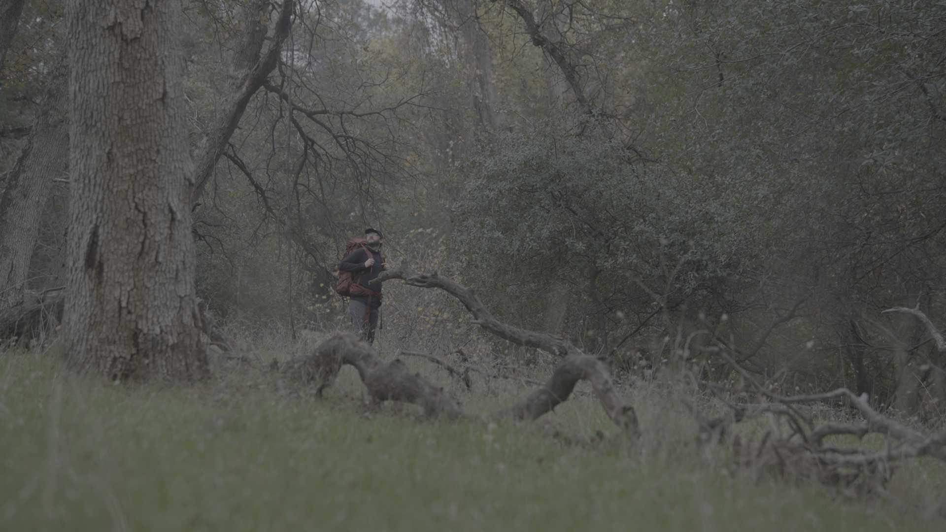 A man with a backpack standing among fallen tree branches in a dense forest during daytime.