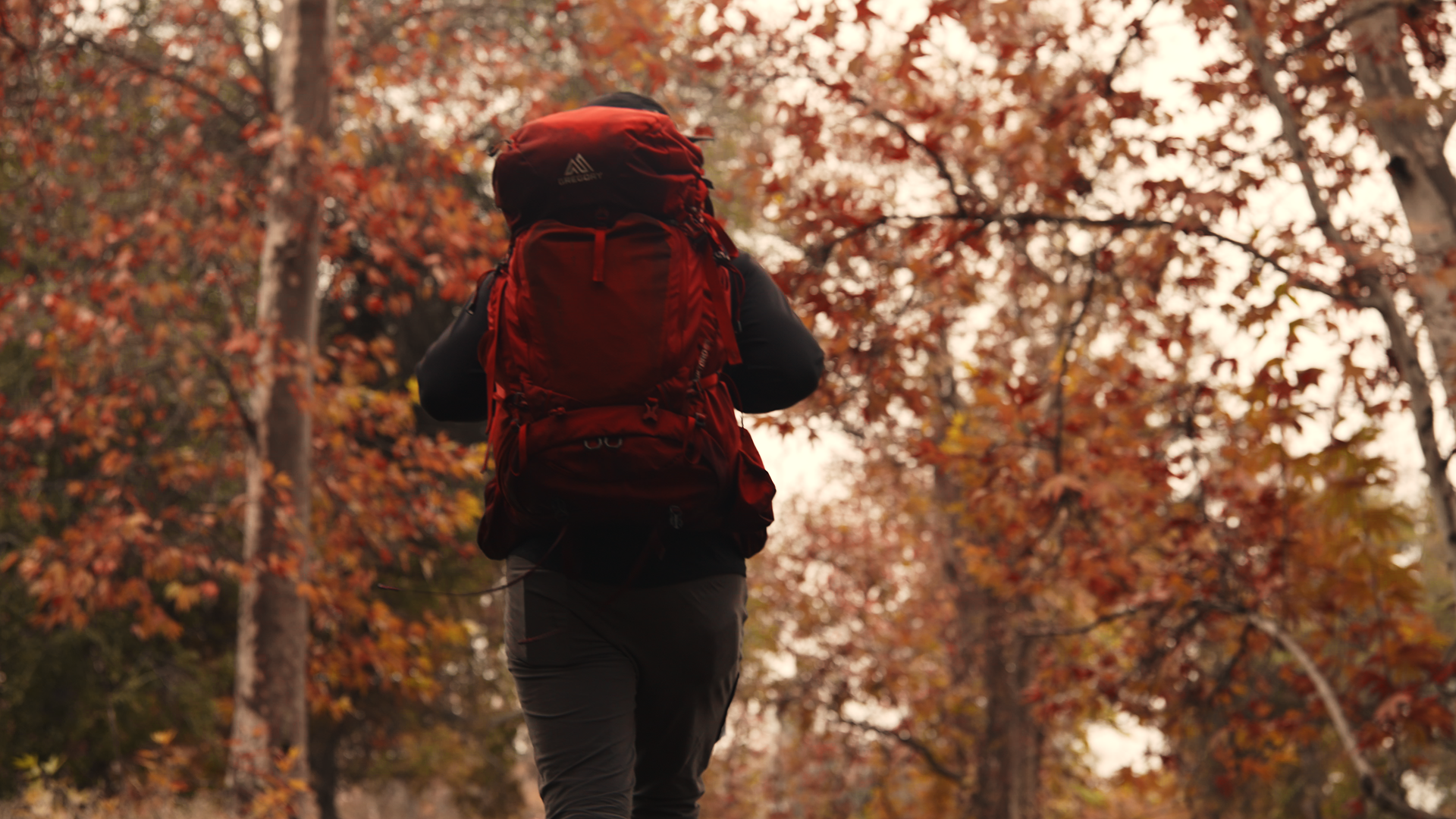 Person hiking through a forest with autumn-colored leaves, carrying a red backpack
